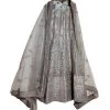 Beige Grey Lehenga Choli